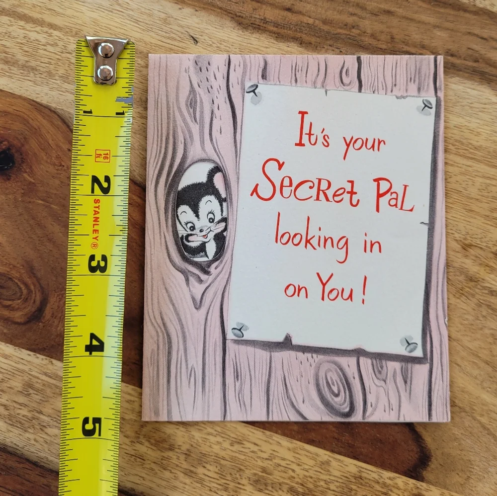Vintage Secret Pal hello greeting card